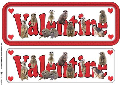 Meerkat Valentine Sign