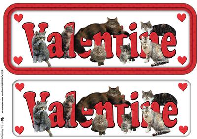 Tabby Cat Valentine Sign