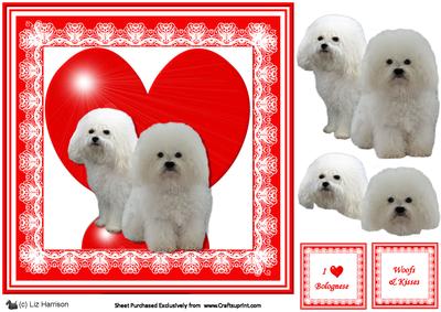 Bolognese 8x8 Heart 3D Decoupage