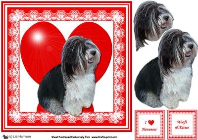 Havanese 8x8 Heart 3D Decoupage
