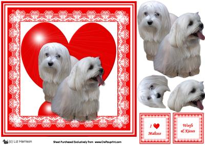 Maltese 8x8 Heart 3D Decoupage