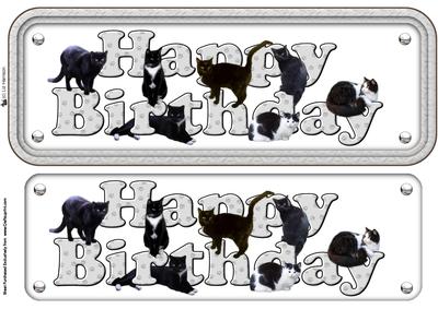 Black Cat Happy Birthday Grey Sign