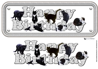 Black Cat Happy Birthday Grey Sign 3D Decoupage