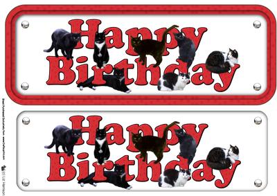 Black Cat Happy Birthday Red Sign