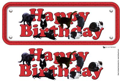 Black Cat Happy Birthday Red Sign 3D Decoupage