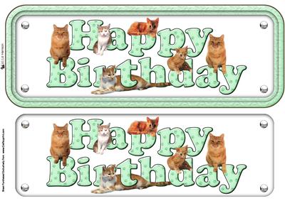 Ginger Cat Happy Birthday Green Sign