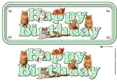 Ginger Cat Happy Birthday Green Sign 3D Decoupage