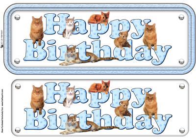 Ginger Cat Happy Birthday Blue Sign