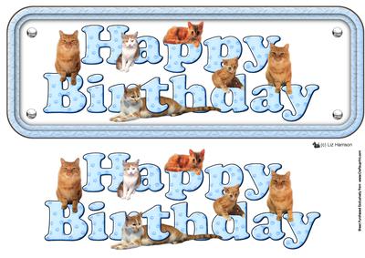 Ginger Cat Happy Birthday Blue Sign 3D Decoupage