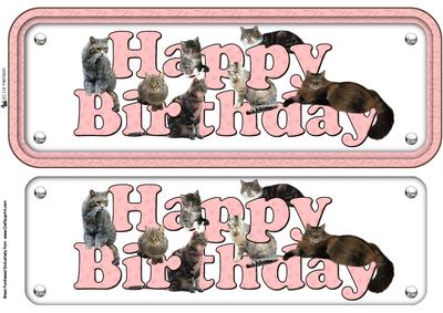 Tabby Cat Happy Birthday Pink Sign