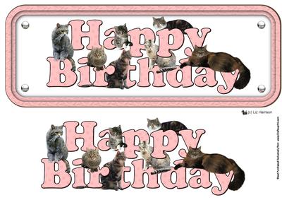 Tabby Cat Happy Birthday Pink Sign 3D Decoupage