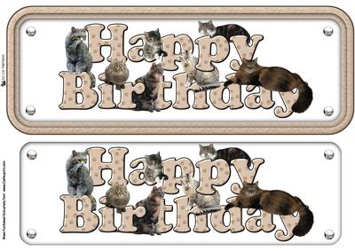Tabby Cat Happy Birthday Sign