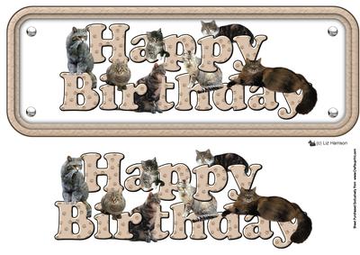 Tabby Cat Happy Birthday Sign 3D Decoupage