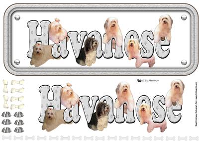Havanese Name Sign 3D Decoupage