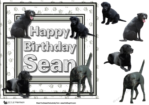 Sean Birrthday and Black labradors 3D Decoupage