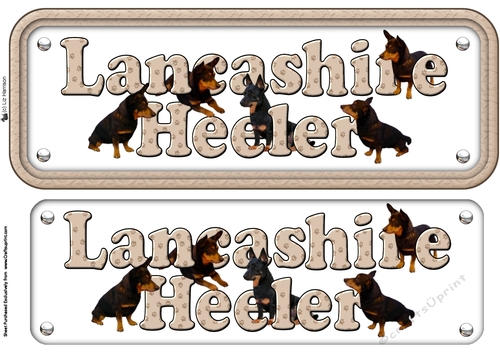 Lancashire Heeler Name Sign