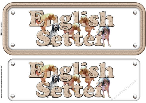 English Setter Name Sign