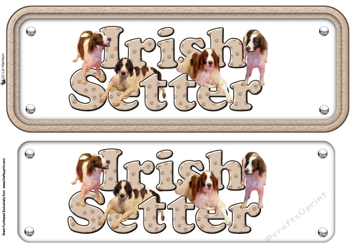 Irish Red and White Setter Name Sign