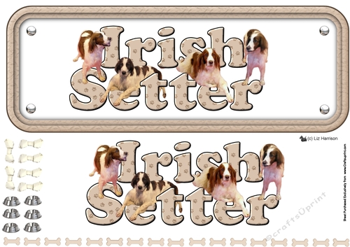 Irish Red and White Setter Name Sign 3D Decoupage