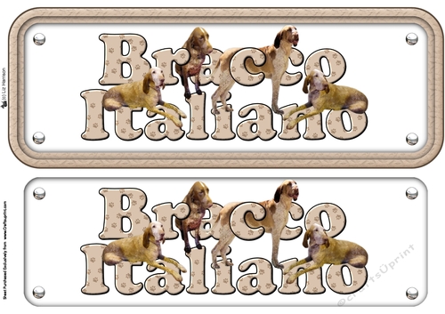Bracco Italiano Name Sign