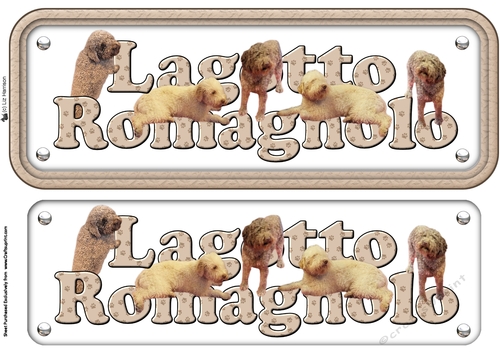 Lagotto Romagnolo Name Sign