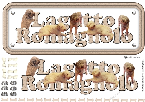 Lagotto Romagnolo Name Sign 3D Decoupage