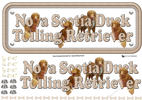 Nova Scotia Duck Tolling Retriever Name Sign