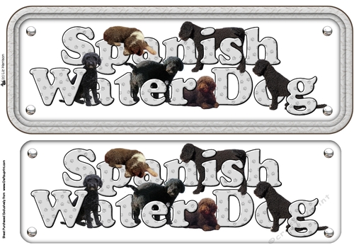 Spanish Water Dog Name Sign