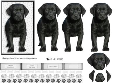 Black Labrador Puppy 3D Decoupage