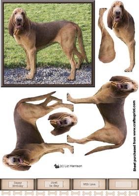 Bloodhound 3D Decoupage