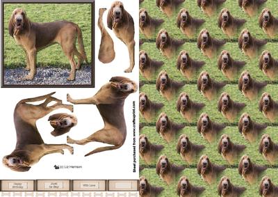 Bloodhound 3D Decoupage with Background