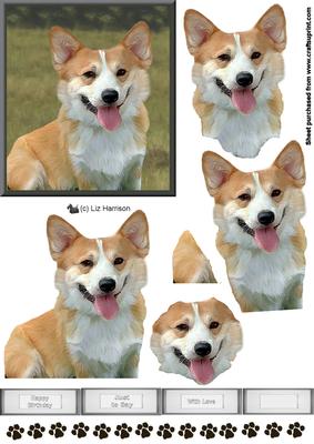 Corgi 3D Decoupage