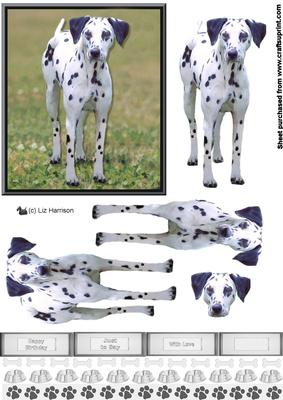 Dalmatian 3D Decoupage
