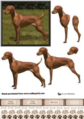 Hungarian Vizsla 3D Decoupage