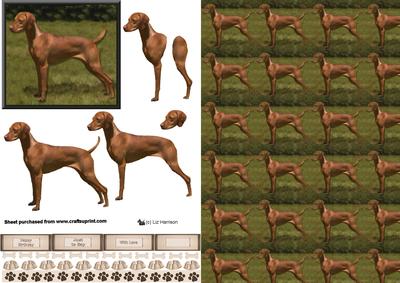 Hungarian Vizsla 3D Decoupage with Background