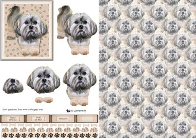 Lhasa Apso 3D Decoupage with Background