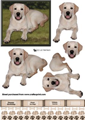Golden Labrador 3D Decoupage