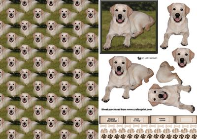 Golden Labrador 3D Decoupage with Background