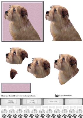Norfolk Terrier 3D Decoupage