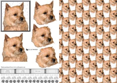 Norwich Terrier Portrait 3D Decoupage with Background