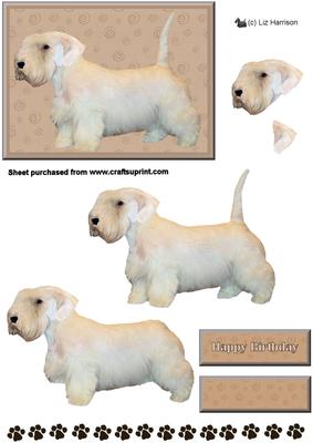 Sealyham Terrier 3D Decoupage
