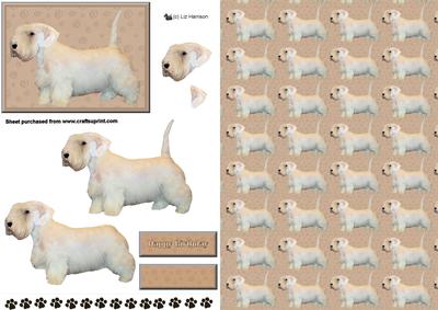 Sealyham Terrier 3D Decoupage with Background