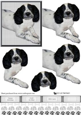 Springer Spaniel 3D Decoupage