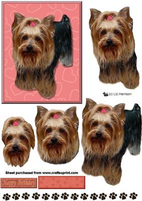 Yorkshire Terrier 3D Decoupage