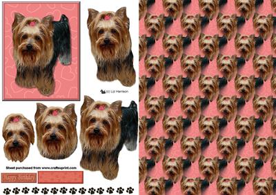 Yorkshire Terrier 3D Decoupage with Background