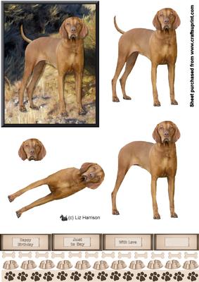 Hungarian Vizsla 3D Decoupage