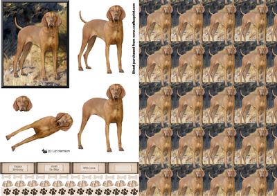 Hungarian Vizsla 3D Decoupage with Background