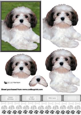 Lhasa Apso Puppy 3D Decoupage