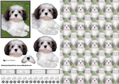 Lhasa Apso Puppy 3D Decoupage with Background