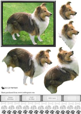 Shetland Sheepdog 3D Decoupage
